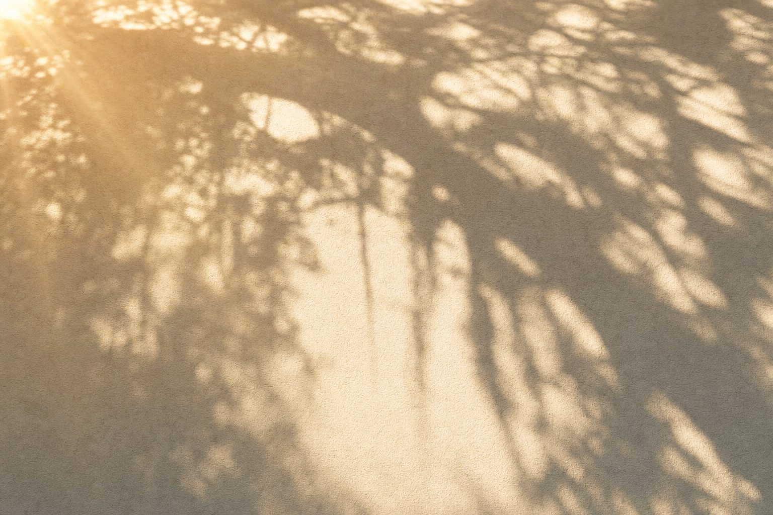 Why Jacksonville Decks Rot From the Bottom Up: The Hidden Framing Decay Humidity Causes (and the Build Details That Stop It)